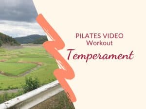 Produktbild Shop Pilates VIDEO Training "Temperament"