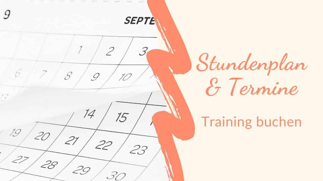 Stundenplan und Termine